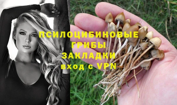 COCAINE Белокуриха