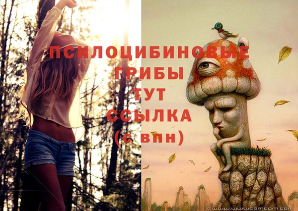 mdpv Белоозёрский